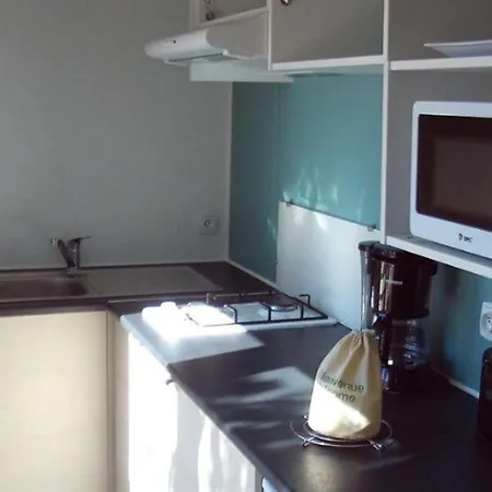 キャンプ場 Mobil-home Avec Terrasse Au Mas Llinas - Api-1-52-373 *