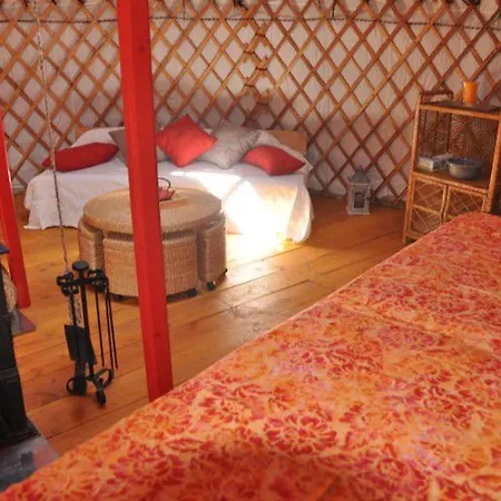 Mobil-home Avec Terrasse Au Mas Llinas - Api-1-52-373 Le Boulou